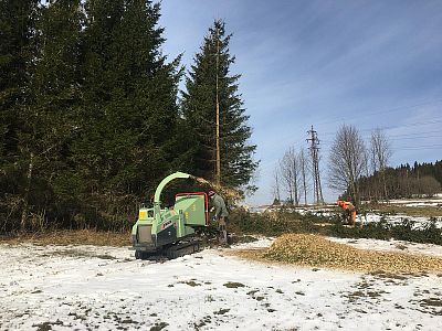 Kácení a rizikové kácení stromů